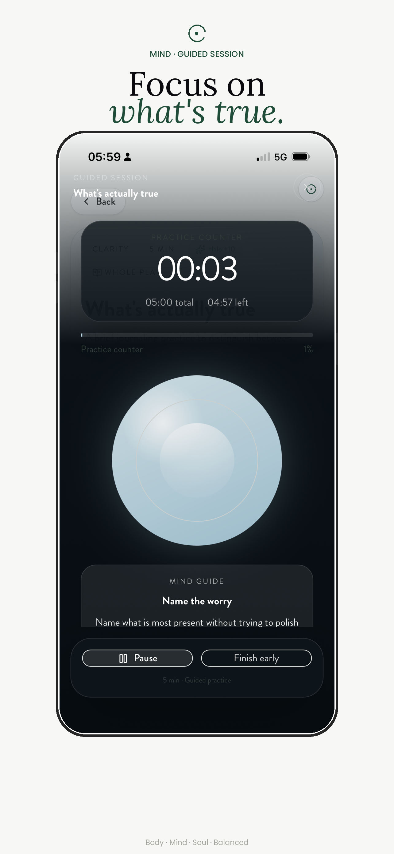 Whole guided mind practice screen